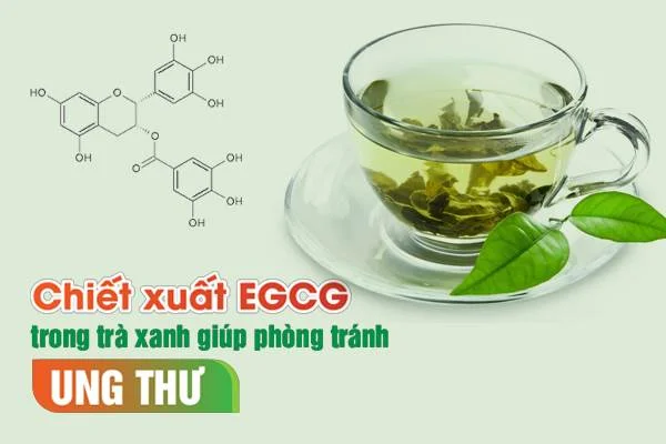 12 lợi ích của việc uống trà mỗi ngày bạn nên biết?